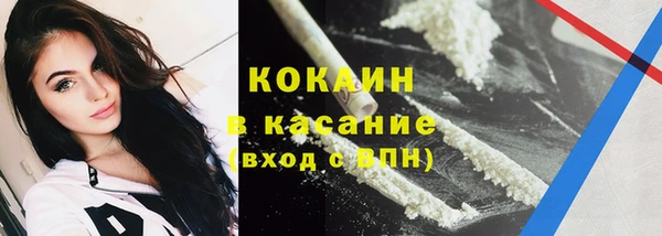 гашик Богданович