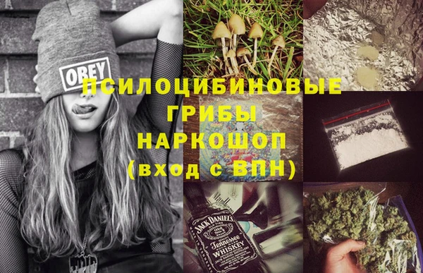 Альфа ПВП Богородск