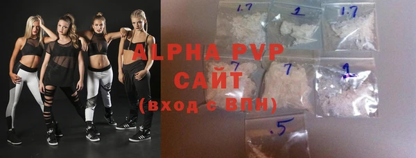 гашик Богданович