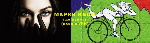 крисы Богородицк