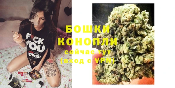 крисы Богородицк