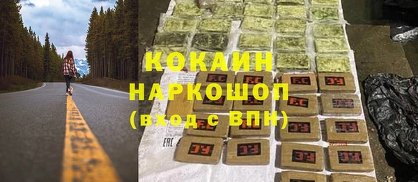 молекула духа Михайловск