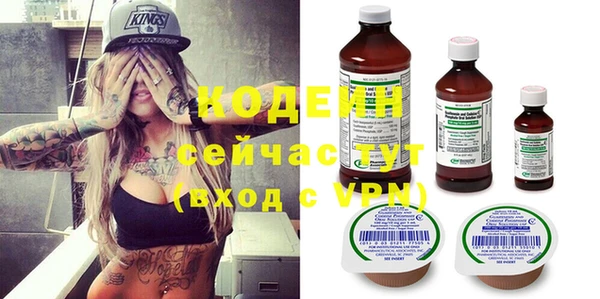 крисы Богородицк