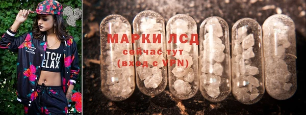 гашик Богданович