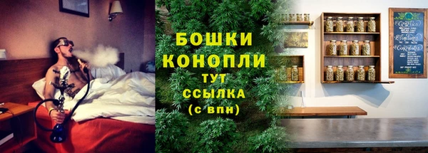 гашик Богданович