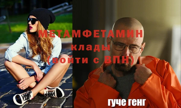крисы Богородицк