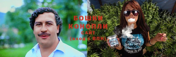 крисы Богородицк