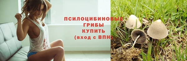 гидра Михайлов