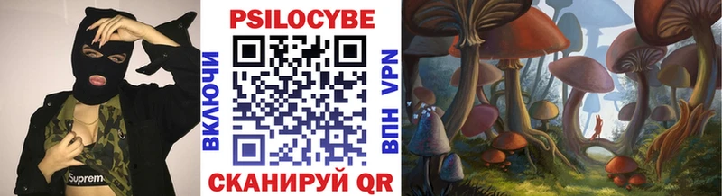 Галлюциногенные грибы Magic Shrooms где продают Бокситогорск
